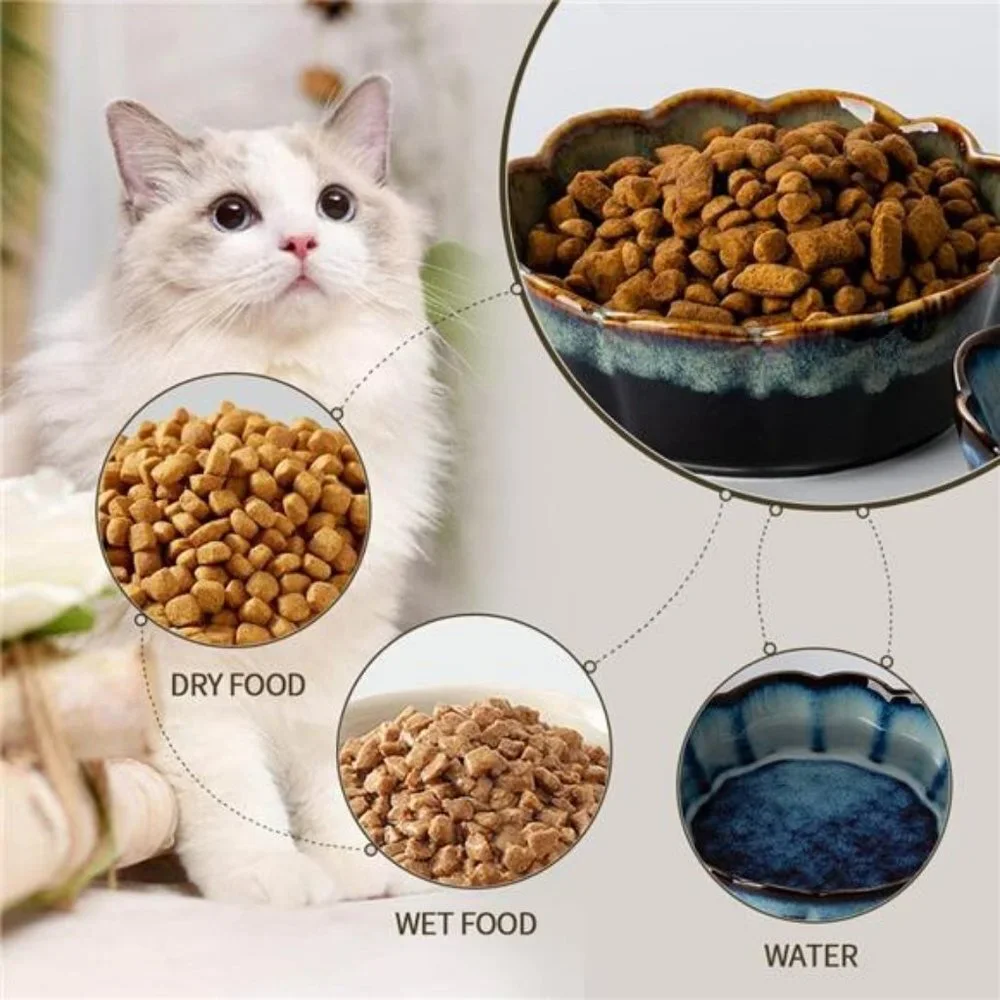 Ceramic Cat Bowls,5 Inch Cat Bowls for Food and Water (Blue/Green-2 Packs)
